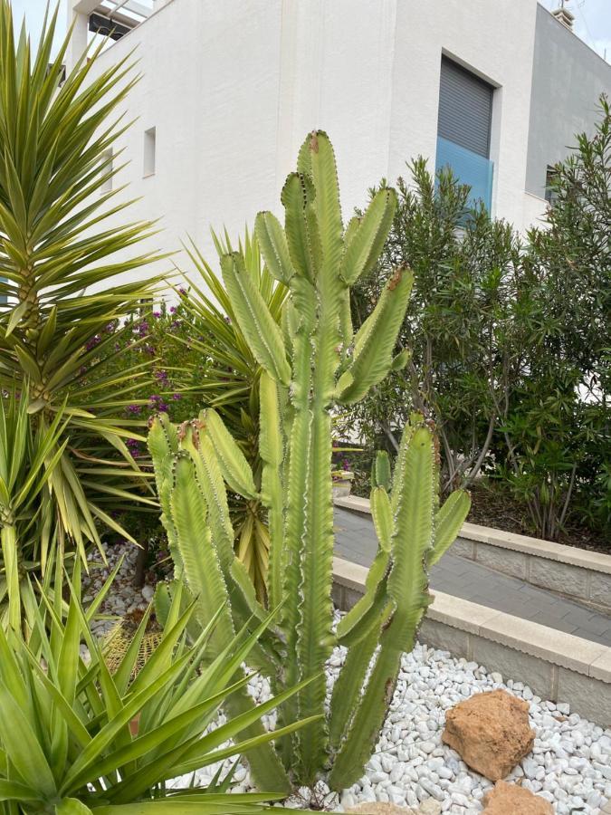 Oasis Beach Apartments アリカンテ エクステリア 写真