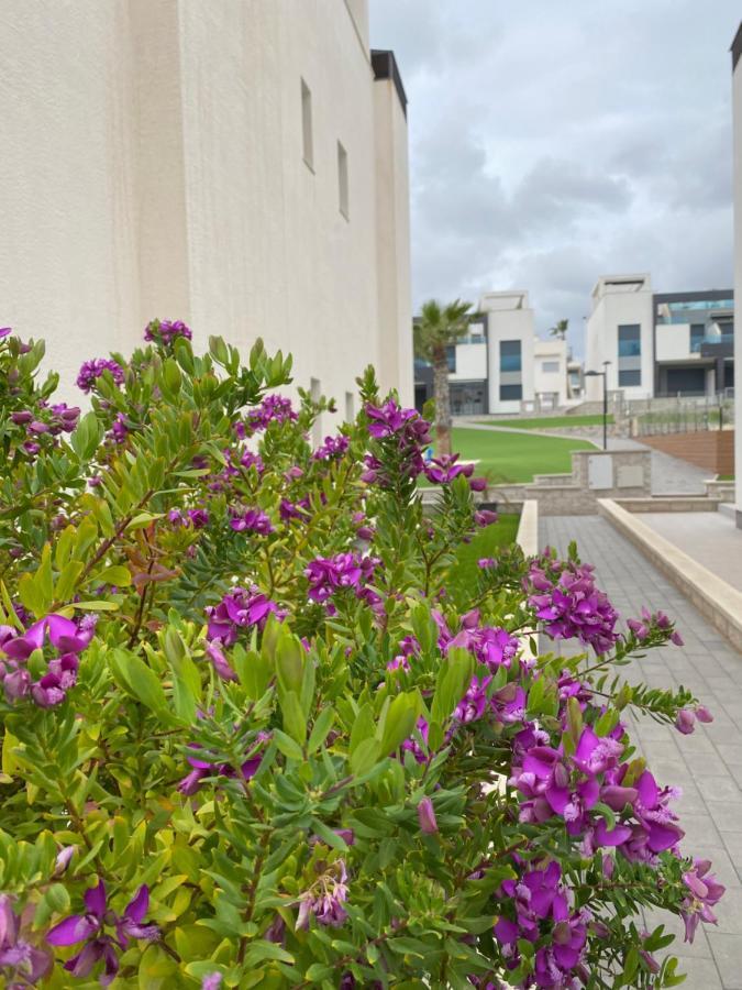 Oasis Beach Apartments アリカンテ エクステリア 写真